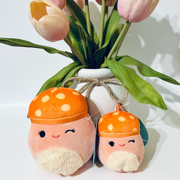 Squishmallows Other - Alba mushroom Squishmallow